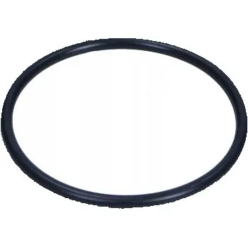 Příslušenství k čerpadlu Těsnění do šroubení BRILIX k čerpadlu FXP, FSP a filtraci P400, 450, 500