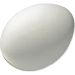 Bird Jewel Podkladek pro slepice 6 cm…