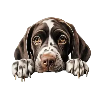 Nažehlovací obrázek - Psí pohled VIII (7,0 x 5,77 cm)