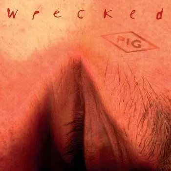 Zahraniční hudba CD Pig: Wrecked 2025