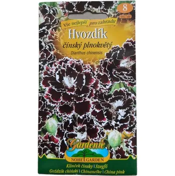 Semeno Sleva - Hvozdík karafiát čínský plnokvětý (Dianthus chinensis)
