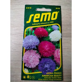 Semeno SEMO Astra čínská American Beauty 0,5 g (exsp:12/25)