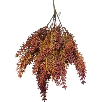 Vřes puget hnědožlutý