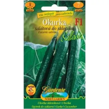 Semeno Okurka salátová do skleníku SALADIN F1 (Okurka salátová do skleníku SALADIN F1)