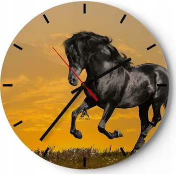 Hodiny Velké nástěnné hodiny 40x40 cm Zvířata Skleněné hodiny Kulatý Tiché