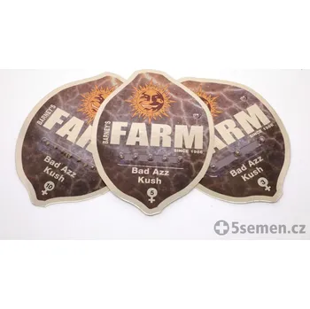 Semeno Bad Azz Kush™ fem. (balení 1)