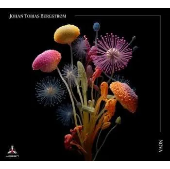 Zahraniční hudba CD Johan Tobias Bergstrøm: Nova 2025