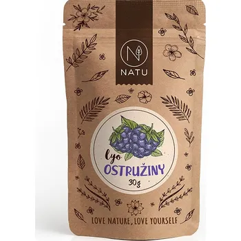 Goodie Lyofilizované ostružiny 30g