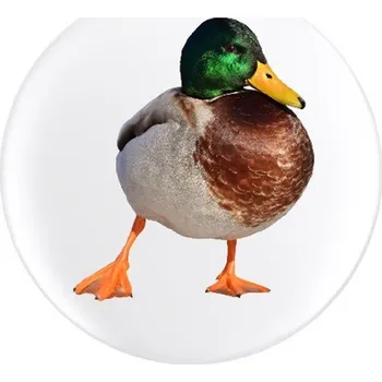 Myslivecká Placka Kachna