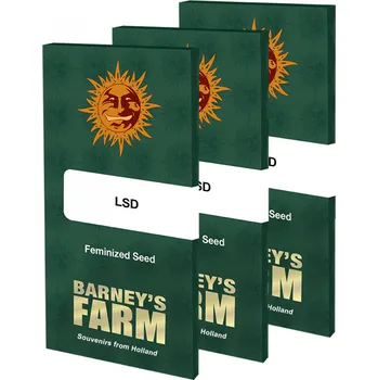 Semeno L.S.D.™ fem. (balení 3)