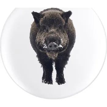 Myslivecká Placka Divočák