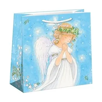 Dárková taška ARGUS Dárková papírová taška (16 x 16 cm) 08230445