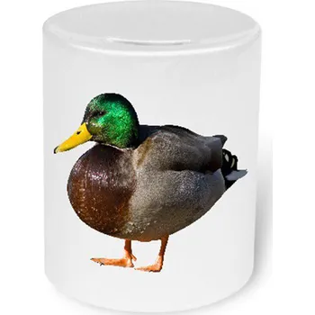 Pokladnička Myslivecká Pokladnička Kachna