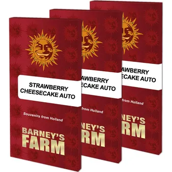 Semeno Strawberry Cheesecake Auto™ fem. (balení 3)