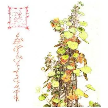 Zahraniční hudba CD Trha: Avelajntoef Hinnem Nihre 2025