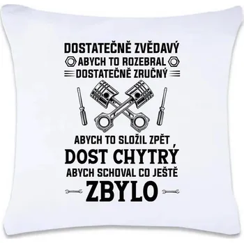 Dekorativní polštářek DOBRÝ TRIKO Polštář s potiskem Dost chytrý 40 x 40 cm Oboustranný tisk: NE