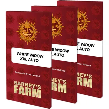 Semeno White Widow XXL Auto™ fem. | Barney's Farm (balení 1)