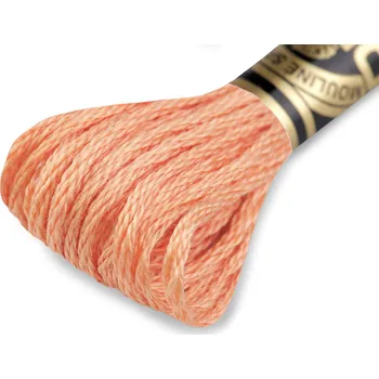 Příze Vyšívací příze DMC Mouliné Spécial Cotton