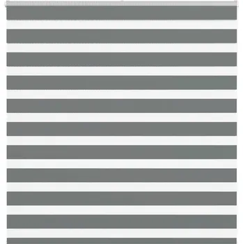 vidaXL Zebra roleta 150x100 cm šířka látky 145,9 cm polyester [4014635] Barva: Tmavě šedá