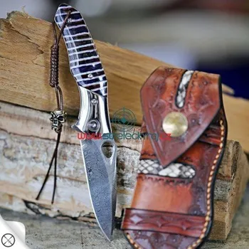 Kuchyňský nůž nůž zavírací Dellinger Glasbrint RWL34 Powder