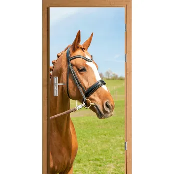 Fototapeta SAMOLEPICÍ SAMOLEPICÍ NA DVEŘE FOTOTAPETA DO OBÝVACÍHO POKOJE NA ZEĎ, hnědý kůň