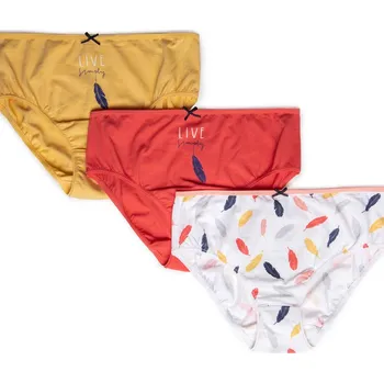 Dámské oblečení Dámské kalhotky BIKINI L-122BIB-38 3-pack SMĚS BAREV M