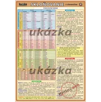 Cizojazyčná kniha Skloňovanie v slovenčine - Kupka a kol. Petr
