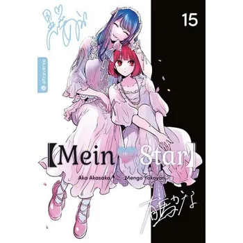 Komiks pro dospělé Mein*Star 15 - Yokoyari, Mengo