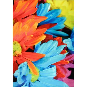 Koberec Kusový koberec RAINBOW collection 008 POSLEDNÍ KUS Rozměr: 160x240 cm