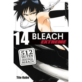 Komiks pro dospělé Bleach EXTREME 14 - Kubo Tite