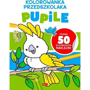 První čtění Kolorowanka przedszkolaka. Pupile - praca zbiorowa [PL] (2023, Brožovaná, Dragon)