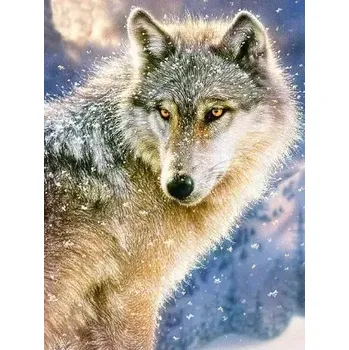 Diamantové malování Diamantové malování/Huacan - Vlk v zimě