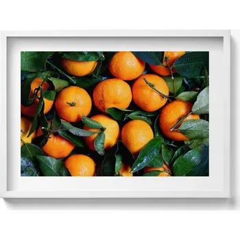 Obraz Obraz v bílém rámu nástěnná dekorace Zralé italské pomeranče 70x50 cm