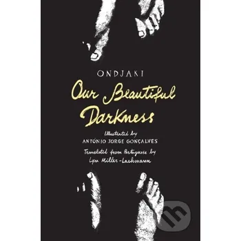 Komiks pro dospělé Our Beautiful Darkness - Ondjaki, António Jorge Gonçalves (ilustrátor) Enchanted Lion