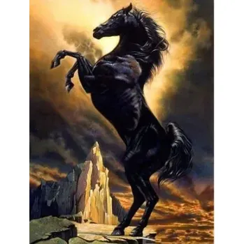 Diamantové malování Diamantové malování/Huacan - Černý kůň na skále