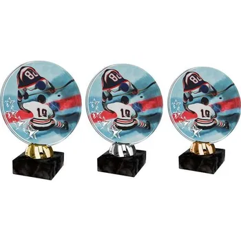 Poháry Bauer Akrylátová trofej ACL2103M9 | Hokej