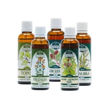 Zdraví Naděje NK21 Kúra pro podporu kloubního a pohybového aparátu 250 ml