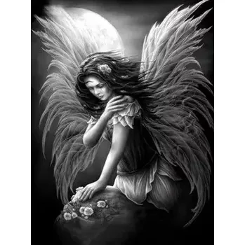 Diamantové malování Diamantové malování/Huacan - Černobílý anděl