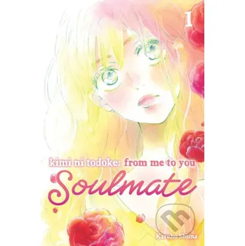 Kimi ni Todoke: From Me to You: Soulmate 1 - Karuho Shiina Viz Media