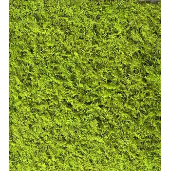 umělá květina Plochý stabilizovaný mech světle zelená, balení 0,45 m2