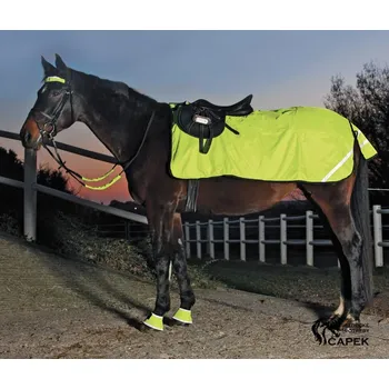 Deka pro koně Bederní deka Waldhausen -REFLEX- - Neon žlutá - Full