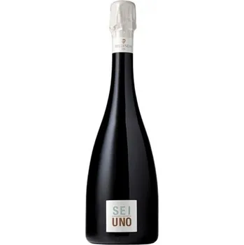 Bellenda Sei Uno Extra Brut DOCG Prosseco, 11,5%, 0,75L (holá lahev)