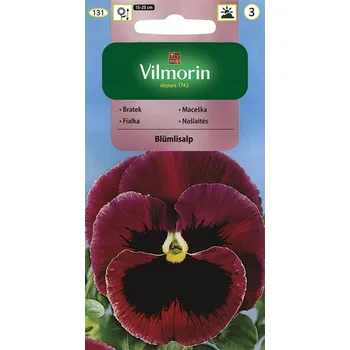 Semeno Maceška velkokvětá švýcarská Blümlisalp (purpurová)