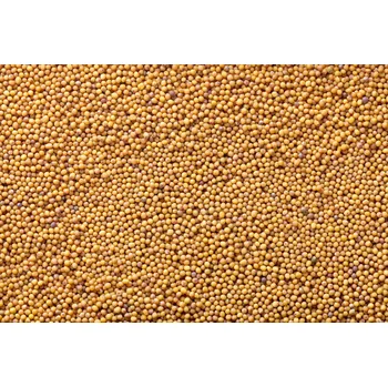 Hořčice žlutá BIO 3 kg LES FRUITS DU PARADIS