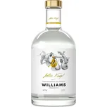 Anton Kaapl Hruškovice Williams 47% 0,7 l (holá láhev)