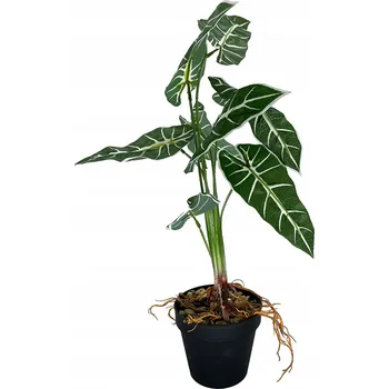 umělá květina Diefenbachie Umělé květy JAKO ŽIVÁ 55 cm