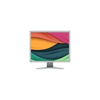 Monitor Eizo FlexScan S2134-GY (DisplayPort, DVI-D, VGA)