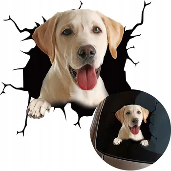 Samolepicí dekorace na vozidlo NÁLEPKA Grafika na auto rozbité okno Vypadající PES Labrador 15x16,5