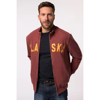 Pánská mikina JP1880, Plus size Mikina JP1880, stojáček, vintage vzhled, potisk, do 8XL pro plnoštíhlé nadměrná velikost, 831243346-1455, hnědý, 6XL, Plus size oblečení, Oblečení pro vysoké muže, Nadměrné velikosti, Oblečení pro plnoštíhlé.