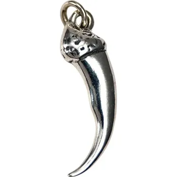 Přívěsek Drakkaria VLČÍ DRÁP, stříbrný přívěsek, Ag 925